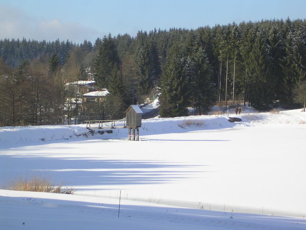 Ferienwohnung Im Harz-Haus-Bruns Clausthal-Zellerfeld Room photo