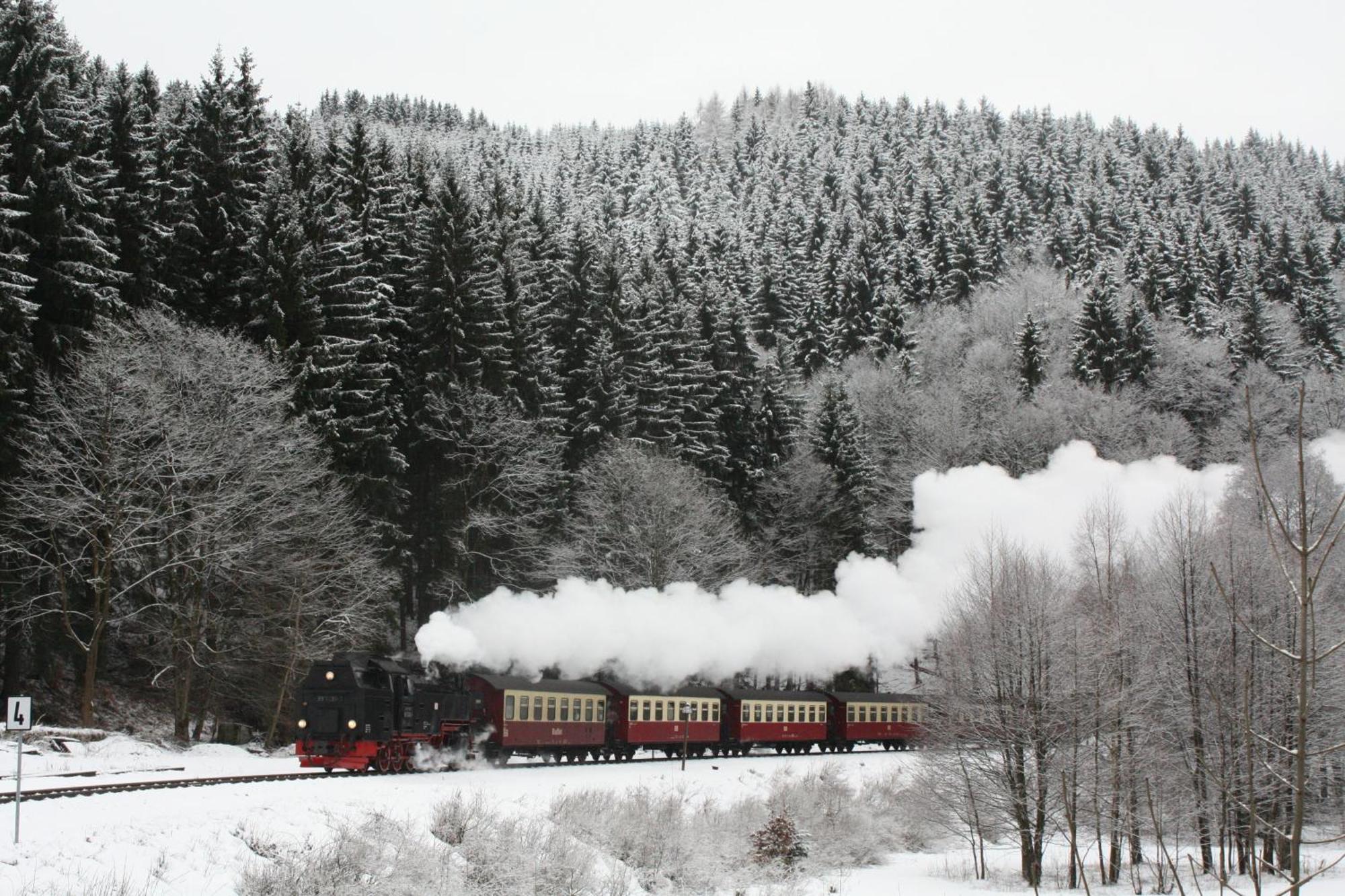 Ferienwohnung Im Harz-Haus-Bruns Clausthal-Zellerfeld Exterior photo