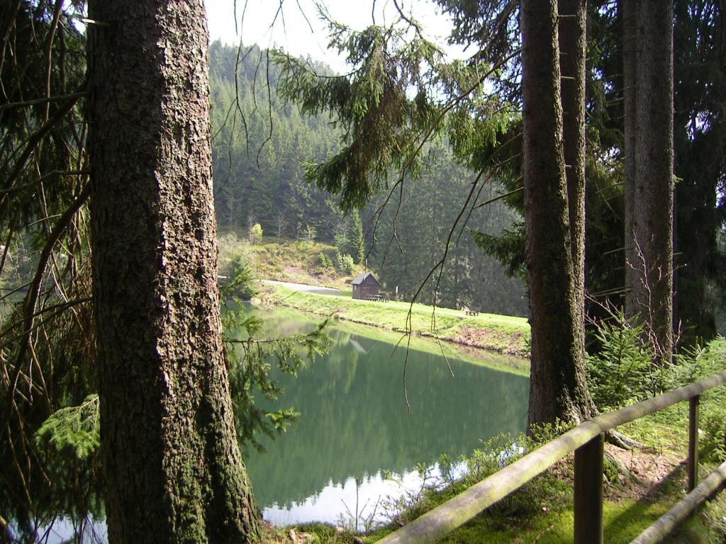 Ferienwohnung Im Harz-Haus-Bruns Clausthal-Zellerfeld Exterior photo